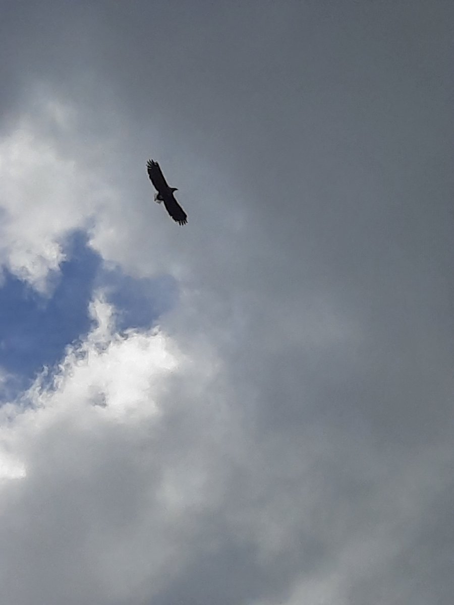 raijaly's tweet image. We people are here just visiting. 

Nature is a permanent fixture.