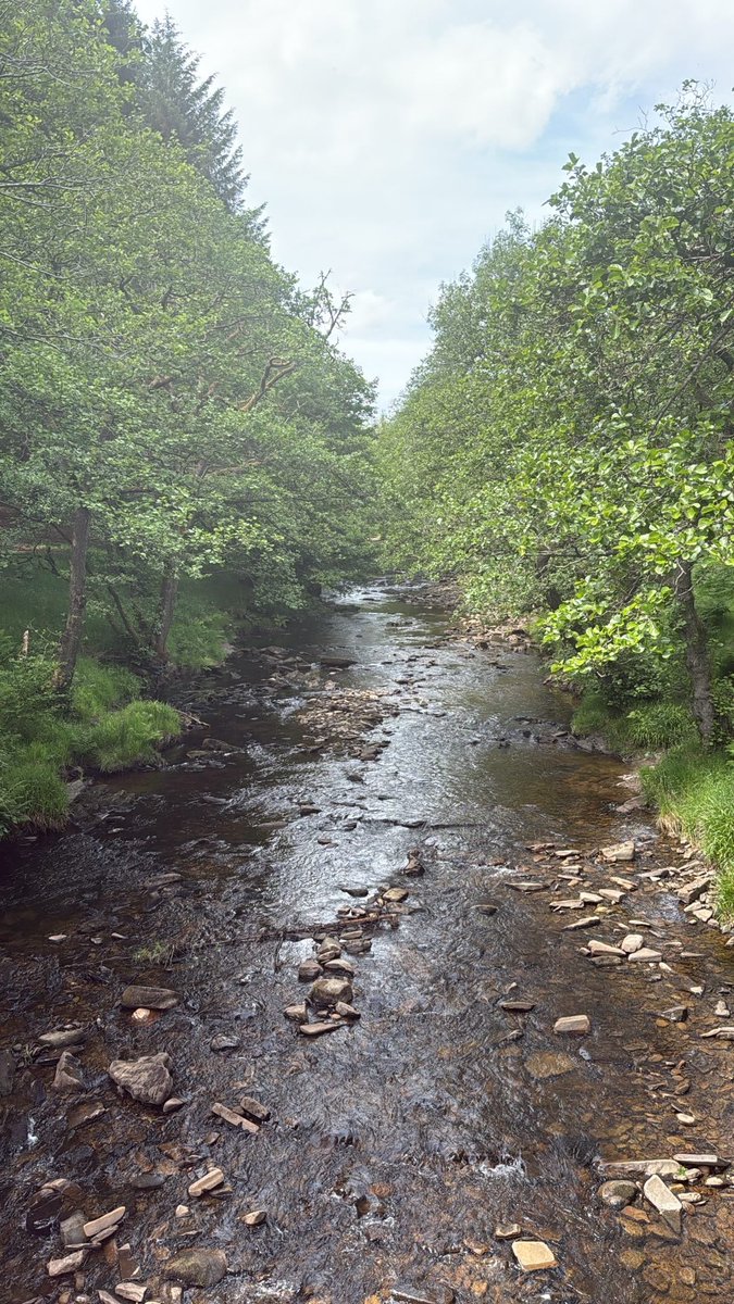 Meg Baldwin (@baldwinmeg) on Twitter photo Lovely day for <a href="/DofE/">The Duke of Edinburgh’s Award</a> on the Peak District 🌿🥾 Lovely day for <a href="/DofE/">The Duke of Edinburgh’s Award</a> on the Peak District 🌿🥾