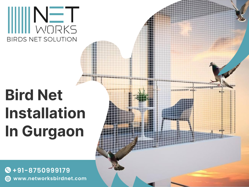 networksbirdnet's tweet image. Networks Bird Net offers expert bird net installation services in Gurgaon to keep your spaces clean, safe, and bird-free.
Call now to book Bird net installation Gurgaon!
Visit: posts.gle/fWq3Zx
#BirdNetInstallation #PigeonNetGurgaon #BalconySafetyNet #BirdNettingServices