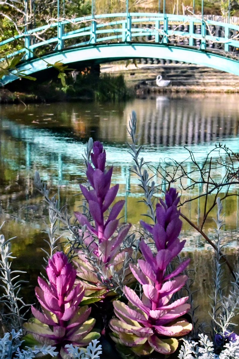 あの頃は何故あんなに
走っていたんだろう

耳元で蘇る息切れが
いつの間にか君の吐息に
変わっていた

1ミリしか開かないその唇は
簡単に他人を受け入れない
君の心のように

感情は理性を遥かに超えていく

高まる鼓動と温もりが
不確かで曖昧な問いを
流してくれる

今夜の優しい雨音と共に