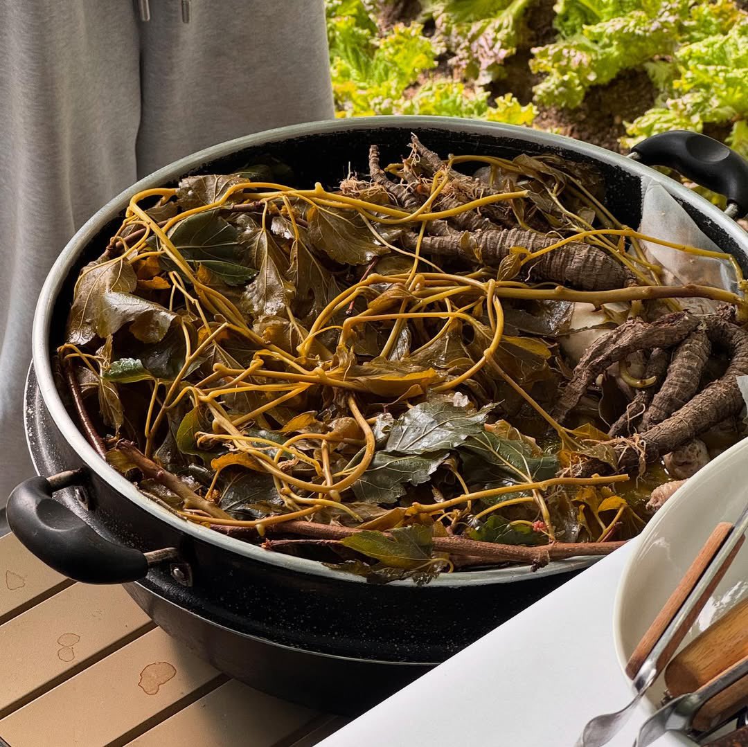 여우담 🦊 tweet media