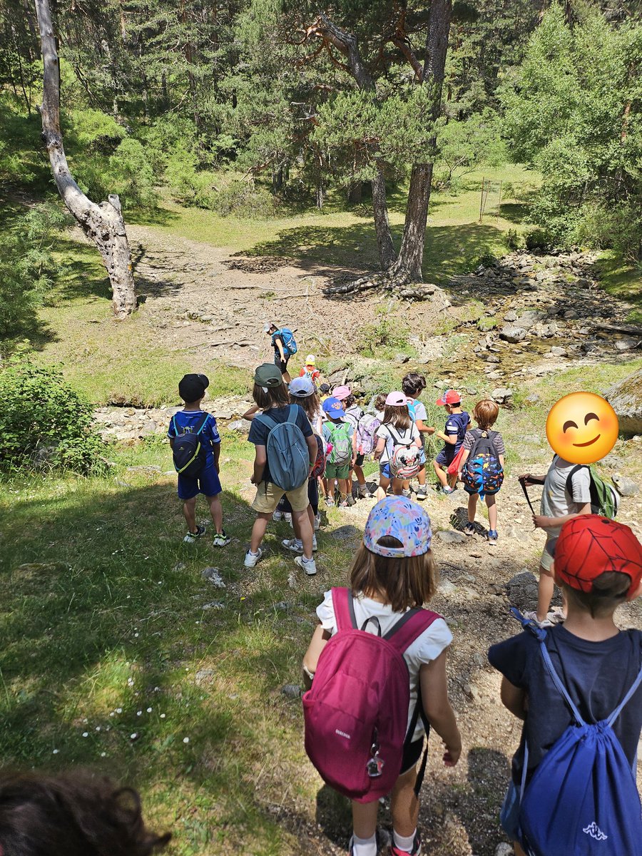 PatriMouHBST tweet media