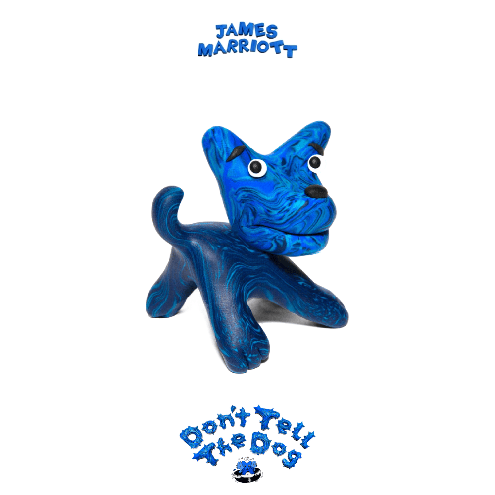 O2 Academy Bournemouth (@o2academybmouth) on Twitter photo โญ๏ธ NEW MUSIC FRIDAY โญ๏ธ
<a href="/JamesMarriottYT/">James Marriott</a> has released new album 'Don't Tell The Dog' today ๐
Who's got tickets for Tuesday 18 November? ๐
Stream the album now ๐ amg-venues.com/3yOf50W8VLR #NewMusicFriday #JamesMarriott โญ๏ธ NEW MUSIC FRIDAY โญ๏ธ
<a href="/JamesMarriottYT/">James Marriott</a> has released new album 'Don't Tell The Dog' today ๐
Who's got tickets for Tuesday 18 November? ๐
Stream the album now ๐ amg-venues.com/3yOf50W8VLR #NewMusicFriday #JamesMarriott
