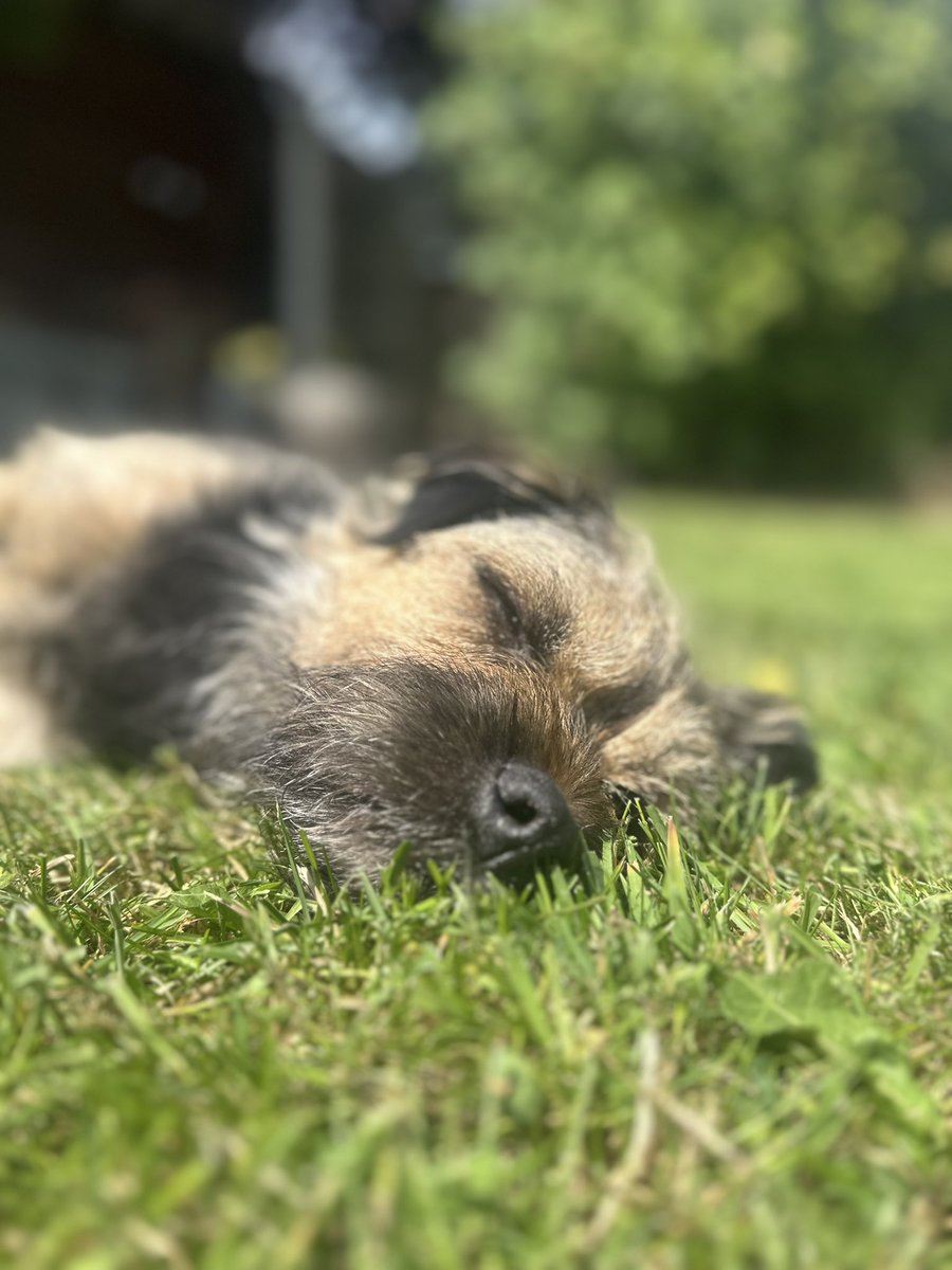 Riley_roo888's tweet image. Cute when sleeping 🤭 #CuteWhenHesQuiet #BTPosse
