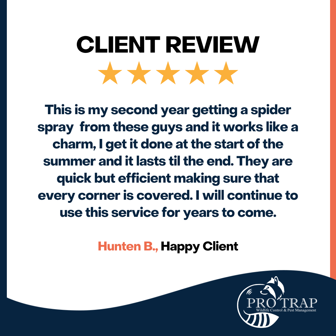 Another Happy Homeowner!

Customer satisfaction is our priority.

#ClientReview #ProTrap