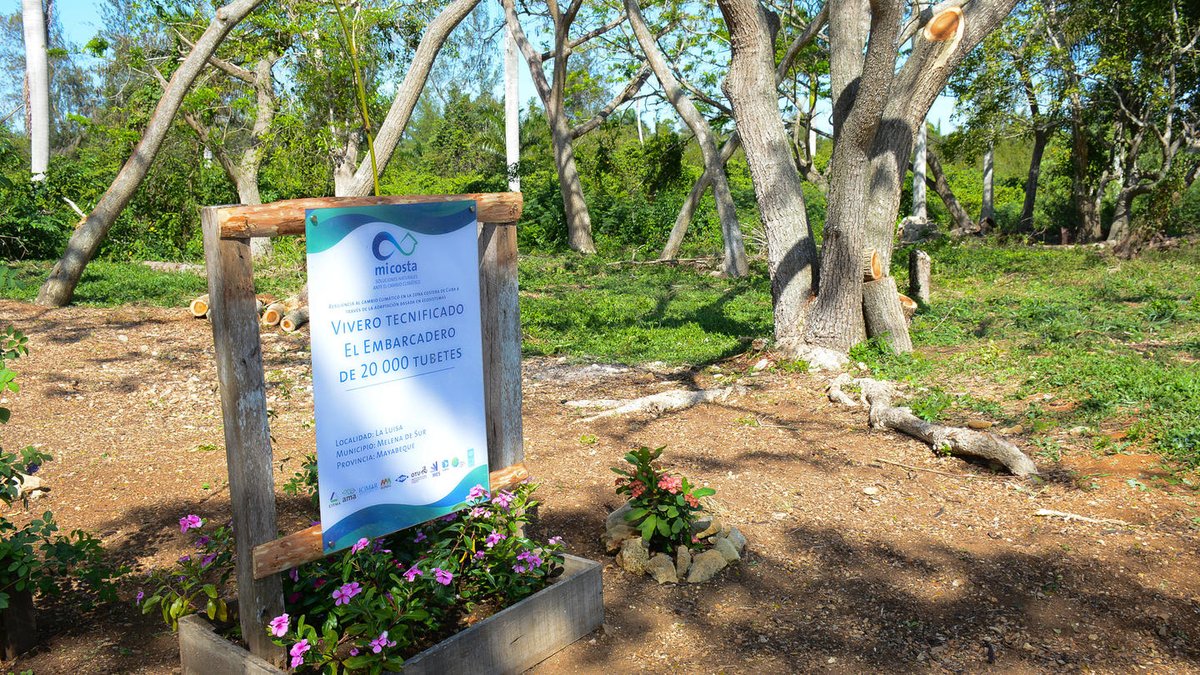 PNUD Cuba (@pnudcuba) on Twitter photo 7 viveros en 6 provincias de Cuba contribuirán a reforestar los humedales costeros como solución natural ante los efectos del cambio climático.
Conoce cómo Maura López cada mañana riega con sus manos el futuro.
👉 bit.ly/4kC1y0b
<a href="/theGCF/">Green Climate Fund</a> 7 viveros en 6 provincias de Cuba contribuirán a reforestar los humedales costeros como solución natural ante los efectos del cambio climático.
Conoce cómo Maura López cada mañana riega con sus manos el futuro.
👉 bit.ly/4kC1y0b
<a href="/theGCF/">Green Climate Fund</a>