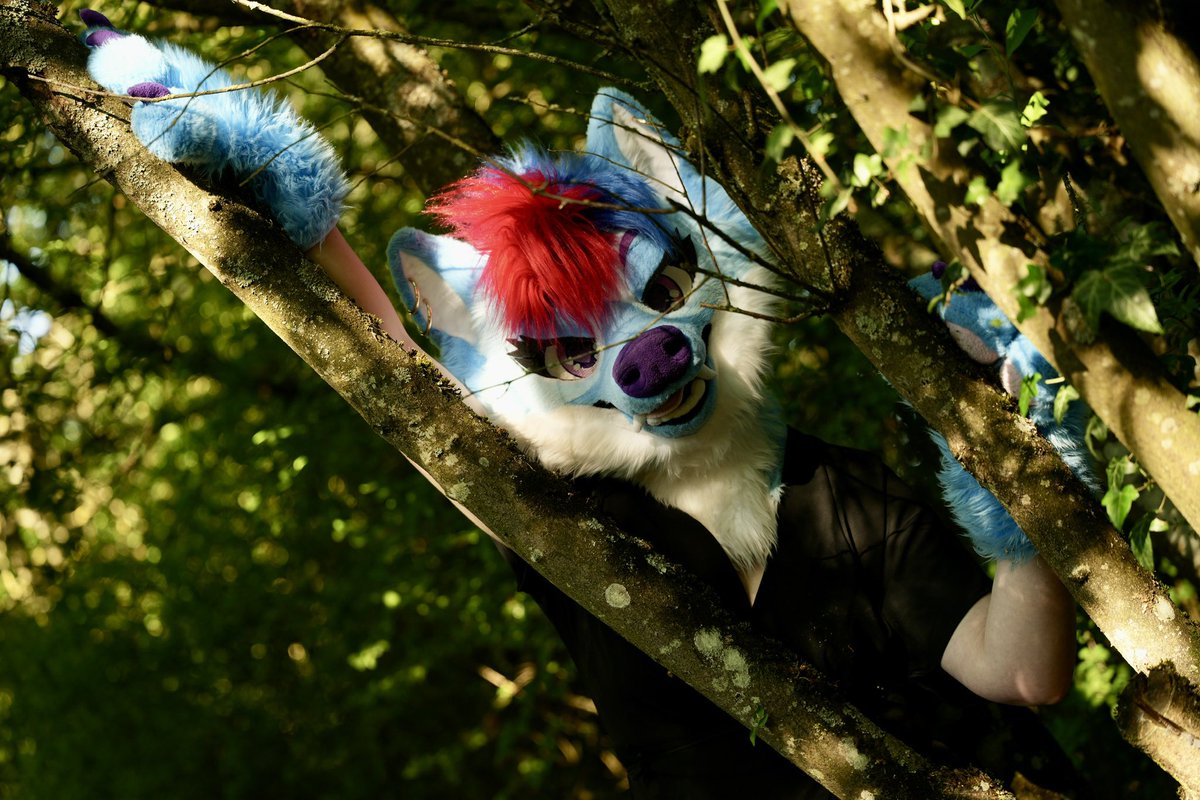 🌿🌿🌿

📸 : <a href="/Pitou_Rikou/">Pitou Rikou</a> 
🧵: <a href="/furryjoystudio/">Rocky Joy</a> 

#FursuitFriday