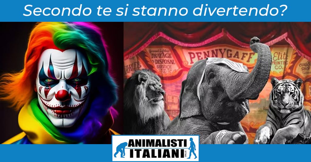 Animalistiitaly's tweet photo. Il Governo Meloni rinvia di nuovo lo stop agli animali nei circhi: stavolta a dicembre2026.
🐘 Oltre 2000 animali continueranno a soffrire.
❌ #AnimalistiItaliani: NO alla proroga, SÌ a uno spettacolo senza crudeltà.
#StopAnimaliNeiCirchi #BastaProroghe https://t.co/q9aDNYjTeF