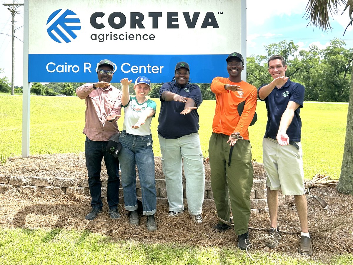 Christ Mane BELIZAIRE (@chrissiebely) on Twitter photo <a href="/corteva/">Corteva Agriscience</a> Hands-On Visit 👩🏾🌾
🌽 Peak pollination season
🧬 Genomic selection in action
🌱 Plant protection at its core
#PSCOnTour #CortevaAgriscience #GoGators
<a href="/UFPlants/">Plant Science Council at UF</a> <a href="/bibakinmade/">Habib Akinmade</a> <a href="/corteva/">Corteva Agriscience</a> Hands-On Visit 👩🏾🌾
🌽 Peak pollination season
🧬 Genomic selection in action
🌱 Plant protection at its core
#PSCOnTour #CortevaAgriscience #GoGators
<a href="/UFPlants/">Plant Science Council at UF</a> <a href="/bibakinmade/">Habib Akinmade</a>