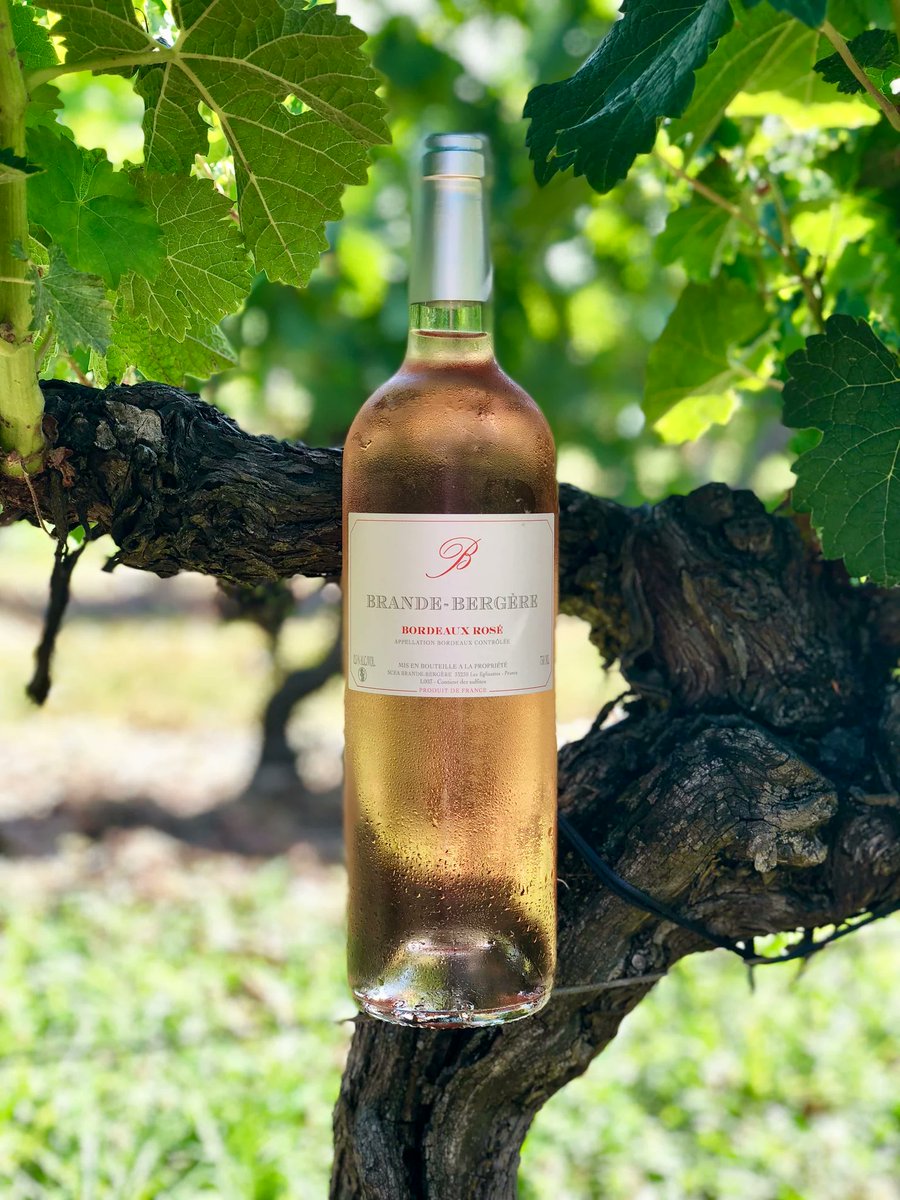 Inverarity Morton tweet media