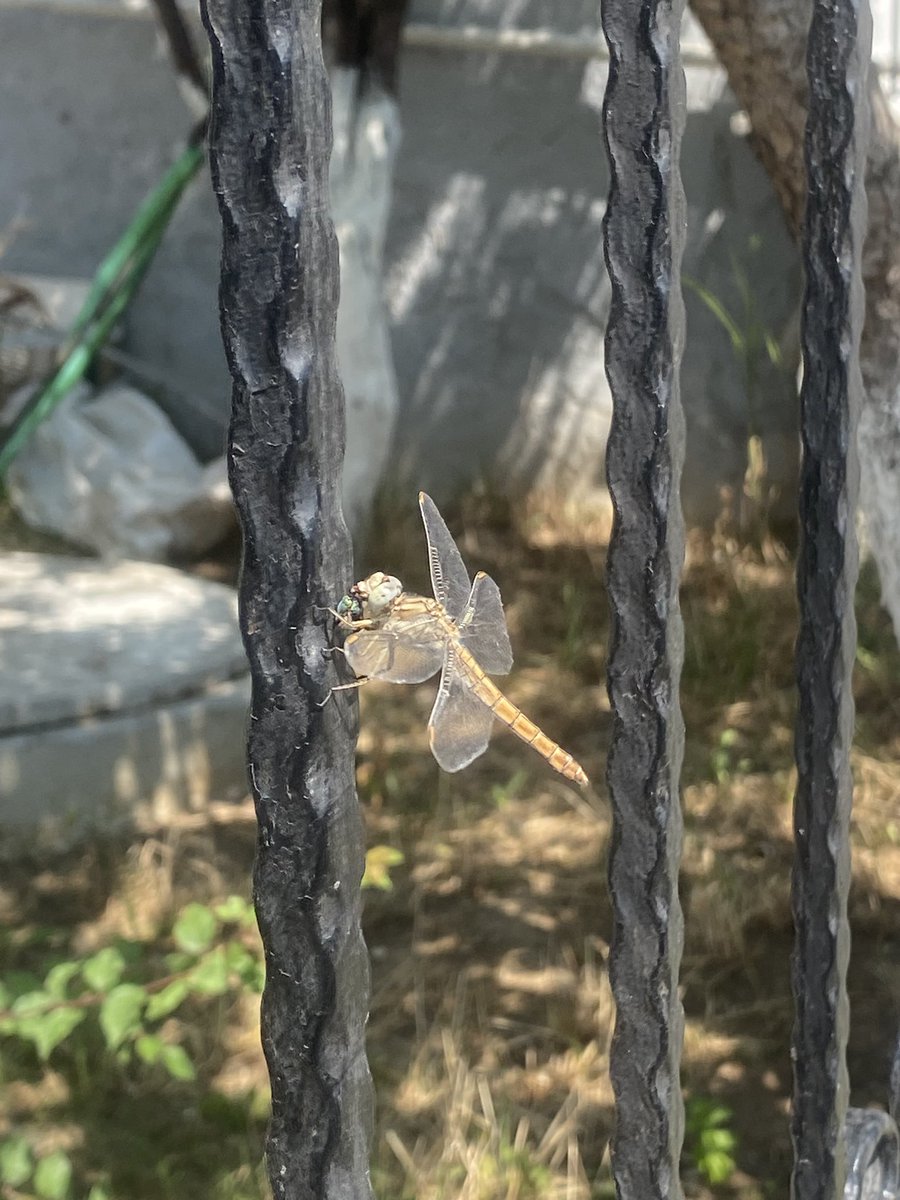 Çok güzelsin ♥️