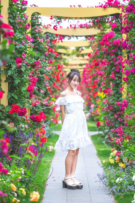 Twitterのコスプレ画像12