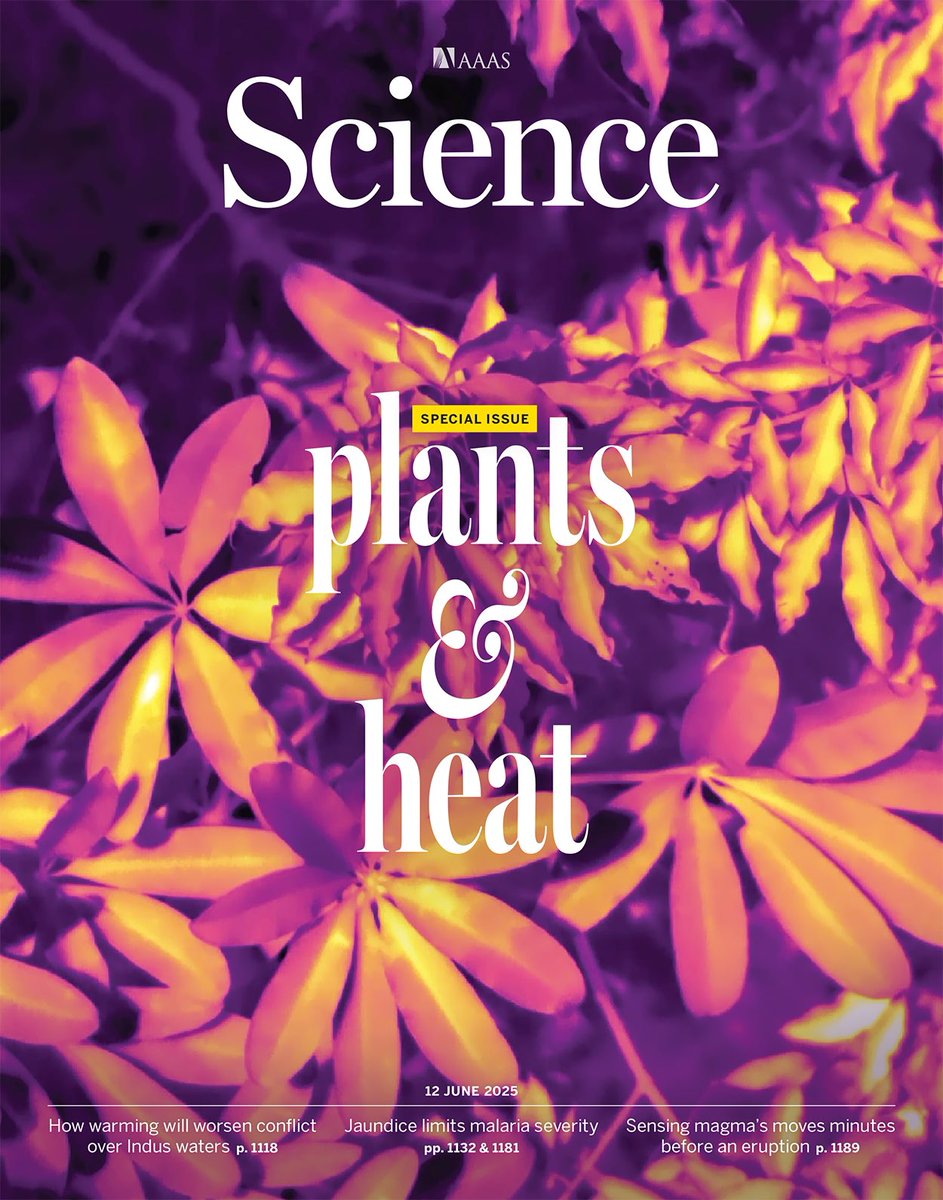 DsouzaAjwal's tweet image. Plants facing the heat
A special issue of @ScienceMagazine diving into how heat affects plants—the present and future.
science.org/doi/10.1126/sc…