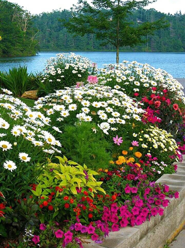 LaliramKiKavita's tweet photo. рдЕрдЪреНрдЫрд╛рдИ рдХреА рдЬреАрдд
#LetsSaveLifeMutually
рдЕрдЪреНрдЫрд╛рдИ рдХреА рдЬреАрдд рдХрд╛ рдкрд╛рд╡рди рддреНрдпреМрд╣рд╛рд░ рд╣реИ рд╣реЛрд▓реАред
рд╕рдЪреНрдЪрд╛рдИ рд╕реЗ рдкреНрд░реАрдд рдХрд╛ рдкрд╛рд╡рди рд╡реНрдпрд╡рд╣рд╛рд░ рд╣реИ рд╣реЛрд▓реАред
рдмрд╕рдВрдд рдЛрддреБ рдореЗрдВ рдкреНрд░рдХреГрддрд┐ рдмрдирд╛рддреА рд╣реИ рдкреНрд░рд╛рдХреГрддрд┐рдХ рд░рдВрдЧреЛрд▓реАред
рдЛрддреБрд░рд╛рдЬ рдХреЛ рднреА рдорд╛рдиреЛ рдЬреИрд╕реЗ рднрд╛рддреА рд╣реИ рд╣реЛрд▓реАред
рдлрд╛рдЧреБрди рдореЗрдВ рд░рдВрдЧреЛрдВ рдХрд╛ рдкрд╛рд╡рди рддреНрдпреМрд╣рд╛рд░ рд╣реИ рд╣реЛрд▓реАред
рд╢рдЧреБрди рдореЗрдВ рдкреНрд░рдХреГрддрд┐ рдХрд╛ рдЙрдкрд╣рд╛рд░ рд╣реИ рдкреНрд░рд╛рдХреГрддрд┐рдХ рд░рдВрдЧреЛрд▓реАред
рд░рд╛рдордордп рд▓рдЧрддреА рд╣реИ рдЕрд╡рдз рдХреА рдкрд╛рд╡рди рд╣реЛрд▓реАред
рдмрд┐рди рдордп рдкрд┐рдП рдордирд╛рдПрдВ рд╕рдм рдЕрдмрдХреА рдкрд╛рд╡рди рд╣реЛрд▓реАред
рд╢реНрдпрд╛рдордордп рд▓рдЧрддреА рд╣реИ рд╡реГрдВрджрд╛рд╡рди рдХреА рдкрд╛рд╡рди рд╣реЛрд▓реАред
рдмрд┐рди рдордп рдкрд┐рдП рд╣реИ рд╕реБрдЦрдордп рд╕рдЬреНрдЬрди рдХреА рдкрд╛рд╡рди рд╣реЛрд▓реАред
рд░рдШреБрдирдВрджрди рд╢реНрд░реА рд░рд╛рдо рдХреА рдЫрд╡рд┐ рд╣реИ рдорд░реНрдпрд╛рджрд╛ рдкреБрд░реБрд╖реЛрддреНрддрдо рд╡рд╛рд▓реАред
рдирдВрджрдирдВрджрди рдШрдирд╢реНрдпрд╛рдо рдХреА рдЫрд╡рд┐ рд╣реИ рд▓реАрд▓рд╛ рдкреБрд░реБрд╖реЛрддреНрддрдо рд╡рд╛рд▓реАред
рдорд░реНрдпрд╛рджрд╛ рдкреБрд░реБрд╖реЛрддреНрддрдо рд╢реНрд░реА рд░рд╛рдо рднреА рдЦреЗрд▓реЗ рд╣реИрдВ рд╣реЛрд▓реАред
рд▓реАрд▓рд╛ рдкреБрд░реБрд╖реЛрддреНрддрдо рдШрдирд╢реНрдпрд╛рдо рднреА рдЦреЗрд▓реЗ рд╣реИрдВ рд╣реЛрд▓реАред
рдЬрдирддрдВрддреНрд░ рдореЗрдВ рднреА рдХреБрдЫ рдиреЗрддрд╛рдУрдВ рдХреА рдЫрд╡рд┐ рд╣реИ рдирд░рд╛рдзрдо рд╡рд╛рд▓реАред
рдЬрдирддрдВрддреНрд░ рдореЗрдВ рдиреЗрддрд╛рдУрдВ рдХреА рдЫрд╡рд┐ рд╣реЛ рдирд░реЛрддреНрддрдо рд╡рд╛рд▓реАред
рдиреЗрддрд╛рдУрдВ рдХреЗ рд▓рд┐рдП рдЬреЛ рд╡реНрдпрд╡рд╕реНрдерд╛ рд╣реИ рд╡рд╣ рд╡реНрдпрд╡рд╕реНрдерд╛ рд╣реИ рд░рд╛рдЬрддрдВрддреНрд░ рд╡рд╛рд▓реАред
рд╕рдорд░реНрде рднрд╛рд░рдд рдореЗрдВ рдЬрдирддрд╛ рдХреА рджреАрди рдЕрд╡рд╕реНрдерд╛ рд╣реИ рд▓реЛрдХрддрдВрддреНрд░ рдХреЛ рдЧрд╛рд▓реАред
рд▓реЛрдХрддрдВрддреНрд░ тАМтАМтАНтАМтАМрдореЗрдВ рд░рд╛рдЬрдиреАрддрд┐ рд╕реЗрд╡рд╛рд░реНрде рд╣реЛ рдХрд╡рд┐ рдХреА рд╣реИ рдпрд╣ рдмреЛрд▓реАред
рд▓реЛрдХрддрдВрддреНрд░ рдХреЛ рдпрдерд╛рд░реНрде рдХрд░ рджреЗрдВ рдиреЗрддрд╛ рдЗрд╕ рд╣реЛрд▓реАред
рдЬрдирдкреНрд░рддрд┐рдирд┐рдзрд┐ рд╡реЛрдЯреЛрдВ рдХреЗ рд▓рд┐рдП рдЬрдирддрд╛ рдХреЗ рдЖрдЧреЗ рдлреИрд▓рд╛рддреЗ рд╣реИрдВ рдЭреЛрд▓реАред
рдХреБрдЫ рдиреЗрддрд╛ рд╡реЛрдЯреЛрдВ рдХреЗ рдмрд╛рдж рдиреЛрдЯреЛрдВ рд╕реЗ рднрд░рддреЗ рд╣реИрдВ рдХреЗрд╡рд▓ рдЕрдкрдиреА рдЭреЛрд▓реАред
рдЕрдХреНрд╕рд░ рдиреЗрддрд╛ рдФрд░ рдмреЗрдИрдорд╛рдиреА рд▓рдЧрддреЗ рд╣реИрдВ рд╣рдордЬреЛрд▓реАред
рдХреБрдЫ рдиреЗрддрд╛рдУрдВ рдХреЗ рдХрд╛рд░рдг рдЦрд╛рд▓реА рд╣реИ рдЬрдирддрд╛ рдХреА рдЭреЛрд▓реАред
рдЬрдирдкреНрд░рддрд┐рдирд┐рдзрд┐ рд╕рдЪреНрдЪреЗ рд╕реЗрд╡рдХ рдмрди рдЬрд╛рдПрдВ рдЗрд╕ рд╣реЛрд▓реАред
рдиреЗрддрд╛ рдФрд░ рдЬрдирддрд╛ рдХреА рдЭреЛрд▓реА рдмрд░рд╛рдмрд░ рднрд░реА рд╣реЛ рдЗрд╕ рд╣реЛрд▓реАред
рдИрдорд╛рдирджрд╛рд░реА рд╣реИ рдЦреБрд╢рд┐рдпреЛрдВ рдХреЗ рд░рдВрдЧреЛрдВ рдХреА рд░рдВрдЧреЛрд▓реАред
рдмреЗрдИрдорд╛рдиреА рд░рдВрдЧ рдореЗрдВ рднрдВрдЧ рд╣реИ рдФрд░ рд╣реИ рднрдВрдЧ рдХреА рдЧреЛрд▓реАред
рд╕рдЬреНрдЬрди рдХреЗ рд▓рд┐рдП рд╢рдмреНрдж рдкреБрд╖реНрдк рд╣рд╛рд░ рд╣реИ рд▓рд╛рд▓реАрд░рд╛рдо рдХреА рдмреЛрд▓реАред
рджреБрд░реНрдЬрди рдХреЗ рд▓рд┐рдП рддрд▓рд╡рд╛рд░ рд╣реИ рд▓рд╛рд▓реАрд░рд╛рдо рдХреА рдмреЛрд▓реАред
рд▓рд╛рд▓реАрд░рд╛рдо рдХреЗ рд╢рдмреНрдж рдкреБрд╖реНрдк рд╣рд╛рд░ рд╣реИрдВ рд╕рдЬреНрдЬрди рдХреЗ рд▓рд┐рдП рд░рдВрдЧреЛрд▓реАред
рд▓рд╛рд▓реАрд░рд╛рдо рдХреА рдмреЛрд▓реА рд╣реИ рджреБрд░реНрдЬрди рдХреЗ рд▓рд┐рдП рдмрдВрджреВрдХ рдХреА рдЧреЛрд▓реАред
рдХреГрд╖рдХреЛрдВ рдФрд░ рд░рдХреНрд╖рдХреЛрдВ рдХреЗ рдХрд╛рд░рдг рдореБрдмрд╛рд░рдХ рд╣реИ рд╣реЛрд▓реАред
рдХреГрд╖рдХреЛрдВ рдФрд░ рд░рдХреНрд╖рдХреЛрдВ рдХреЛ рднреА рдореБрдмрд╛рд░рдХ рд╣реЛ рд╣реЛрд▓реАред
рд╢реБрднрдХрд╛рдордирд╛ рдХреЗ рд╕рдВрдЧ рд╢реБрдн рдХрд╛рдо рднреА рдХрд░рдирд╛ рдЗрд╕ рд╣реЛрд▓реАред
рд╢реБрдн рдХрд╛рдо рдИрдорд╛рдирджрд╛рд░реА рд╕реЗ рдХрд░реЗ рдЬрд╛рдПрдВ рддреЛ рд╢реБрдн рд╣реЛ рд╣рд░ рд╣реЛрд▓реАред
рд▓рд╛рд▓реАрд░рд╛рдо рдХреЗ рд╢рдмреНрджрдкреБрд╖реНрдк рд╣рд╛рд░ рдкреБрд╕реНрддрдХ рд╣реИ рд▓рд╛рд▓реАрд░рд╛рдо рдХреЗ рд╡рд┐рдЪрд╛рд░ рд╡рд╛рд▓реАред
рдпрд╣ рдкреБрд╕реНрддрдХ рд╣реИ рдИрдорд╛рдирджрд╛рд░реА рдФрд░ рдордиреЛрд░рдВрдЬрдХ рдХрд╡рд┐рддрд╛рдУрдВ рд╡рд╛рд▓реАред
рдИрдорд╛рдирджрд╛рд░реА рдХреА рдмрд╛рддреЗрдВ рдФрд░ рдордиреЛрд░рдВрдЬрдХ рдХрд╡рд┐рддрд╛рдПрдВ рдкрдврд╝рдирд╛ рдЗрд╕ рд╣реЛрд▓реАред
рд▓реЗрдЦрдХ рдХрд╡рд┐ рджреАрд╡рд╛рдирд╛ рдЪрд╛рд╣реЗ рдкрд╛рдардХреЛрдВ рдХреЛ рдкрдврд╝рдирд╛ рдЗрд╕ рд╣реЛрд▓реАред
рд╕рдЪреНрдЪрд╛рдИ рдФрд░ рддреАрдЦреА рдмрд╛рдд рдХрд╡рд┐ рдиреЗ рдЬрдирд╣рд┐рдд рдХреЗ рд▓рд┐рдП рдмреЛрд▓реАред
рдЕрдЪреНрдЫрд╛рдИ рдХреА рдЬреАрдд рдХреА рдЫрд╡рд┐ рдореЗрдВ рдХреБрдЫ рддреЛ рдЬрдирд╣рд┐рдд рдХрд░рдирд╛ рдЗрд╕ рд╣реЛрд▓реА...
рд▓рд╛рд▓реАрд░рд╛рдо