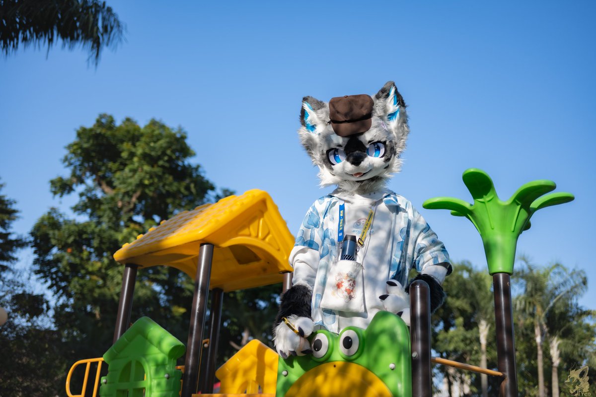 午后闲暇。

📷： <a href="/Furry_Freo/">糯米是只龙</a> 
#furry #fursuit #FursuitFriday