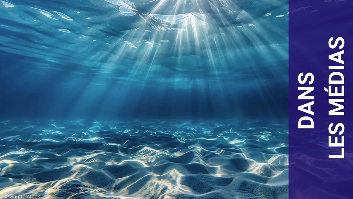 📰Alors que l'#UNOC3 touche à sa fin, découvrez dans une tribune <a href="/LesEchos/">Les Echos</a>, l'appel lancé lors du Blue Economy Finance Forum #BEFF dont <a href="/RiouxRemy/">Rémy Rioux</a> est signataire : "L'économie et la finance doivent amplifier leur engagement en faveur d'une économie bleue. Les financements publics