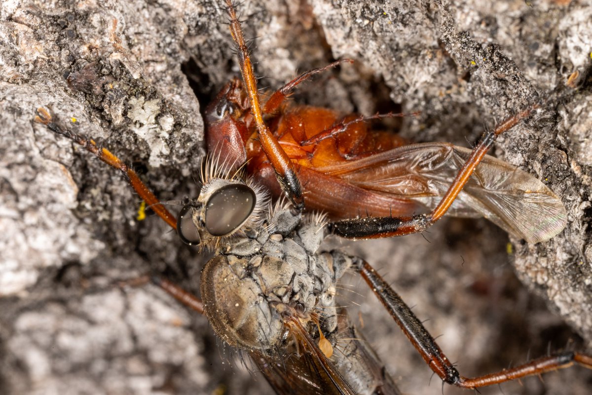 Michael Eisen (@mbeisen) on Twitter photo 