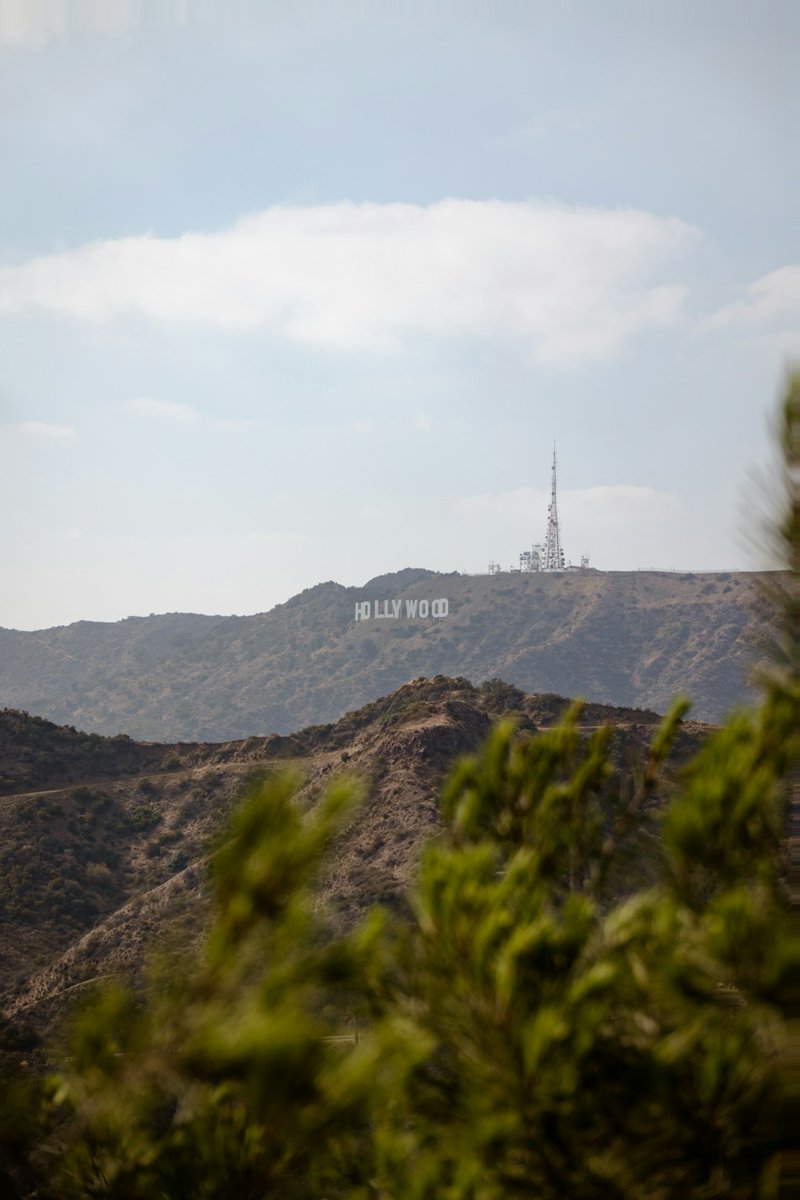 Who's up for some fresh air and sunshine?  Hiking Runyon Canyon this Saturday! Let me know if you want to join my adventure. 🥾☀️ #RunyonCanyon #Hiking #LosAngelesProtests