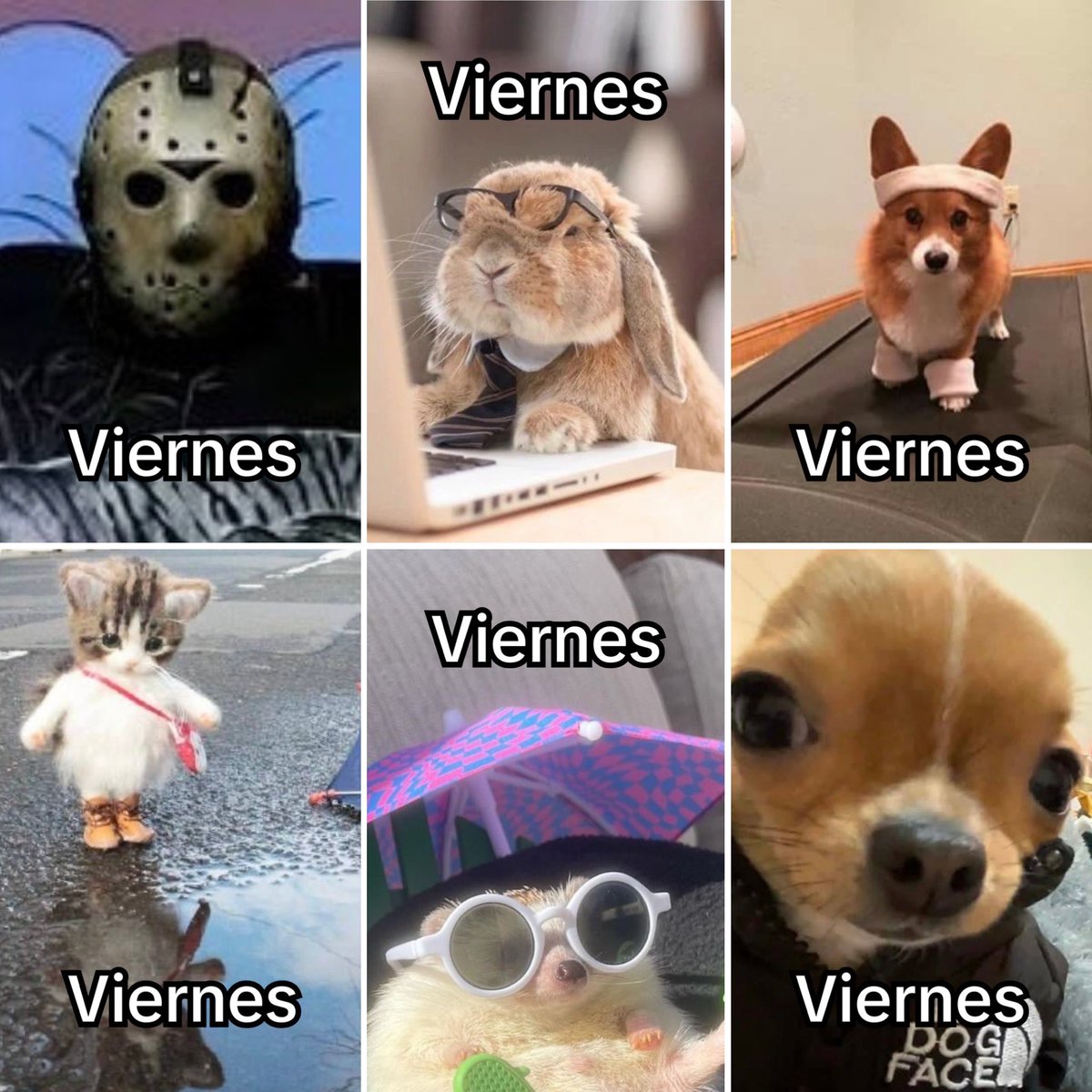 Guarromantico_'s tweet image. Viernes.