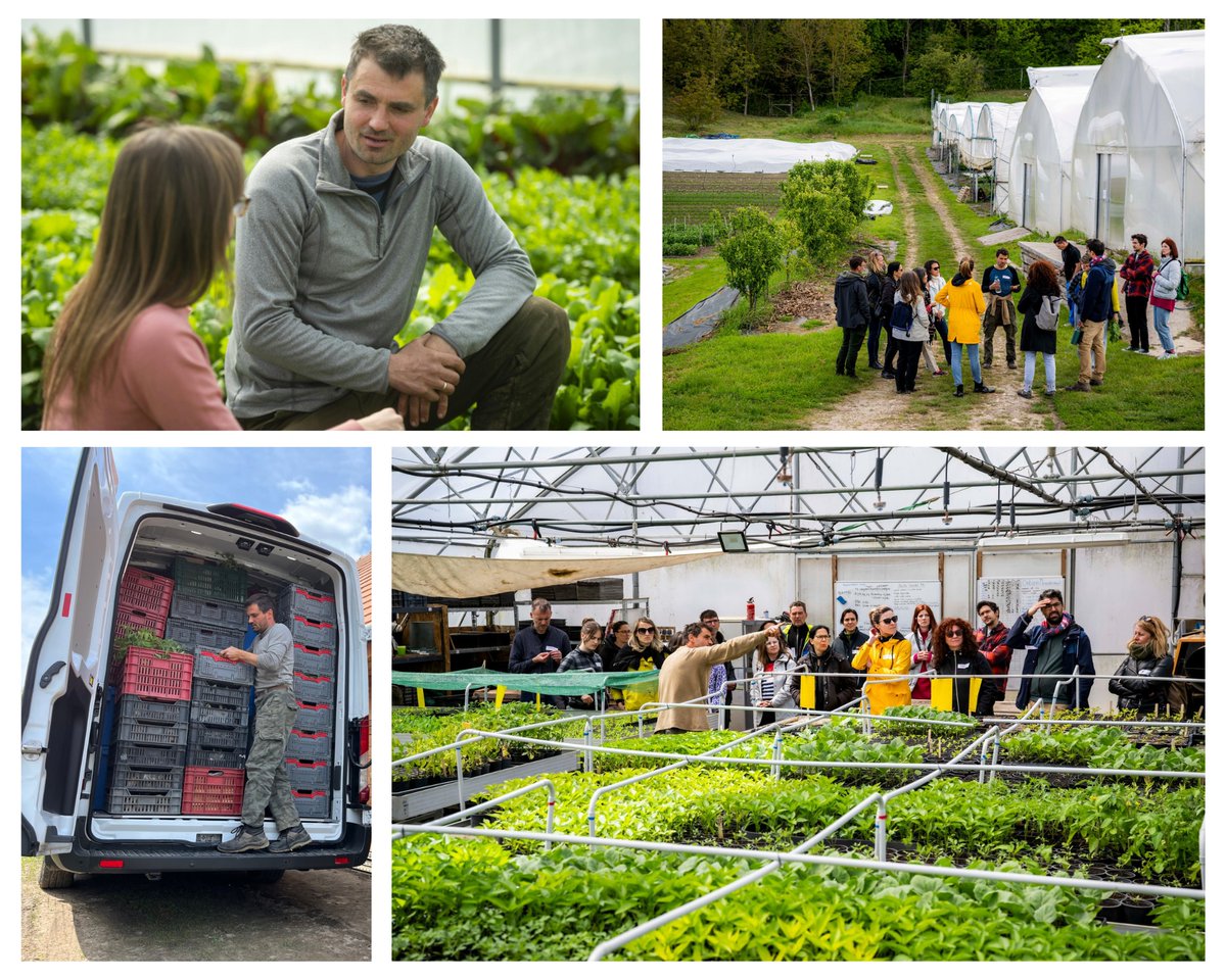 How a vegetable community lives: <a href="/hvg_hu/">hvg.hu</a> podcast w/ #Fulbright alum agricultural engineer Zoltán Dezsény '10 <a href="/ucdavis/">UC Davis</a> on his MagosVölgy organic farm in Terény selling seasonal crops to 160 consumer youtu.be/SzJpV4frxPw