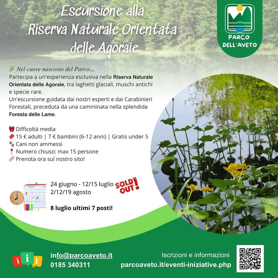 Hai mai camminato nella Foresta delle Lame ascoltando solo il canto degli uccelli e il fruscio degli alberi secolari?
O scoperto i segreti della Riserva Naturale Orientata delle Agoraie, tra laghetti glaciali e muschi antichissimi?
🎒 ultimissimi posti disponibili: