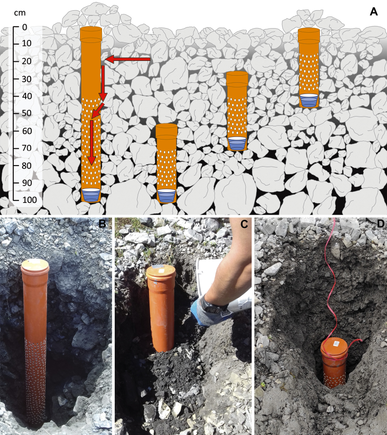 Subterranean Biology tweet media