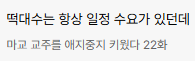 갑자기 생각난 최근 카카오페이지 댓글란에서 저를 웃게 했던 댓글을 공유합니다🥹🥹🥹
