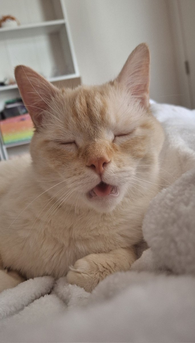 a happy baby morning