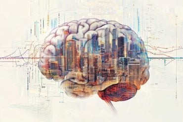 "Social Status and Genes Interact to Shape the Aging Brain" from Neuroscience News...

neurosciencenews.com/social-status-…

#brain-health