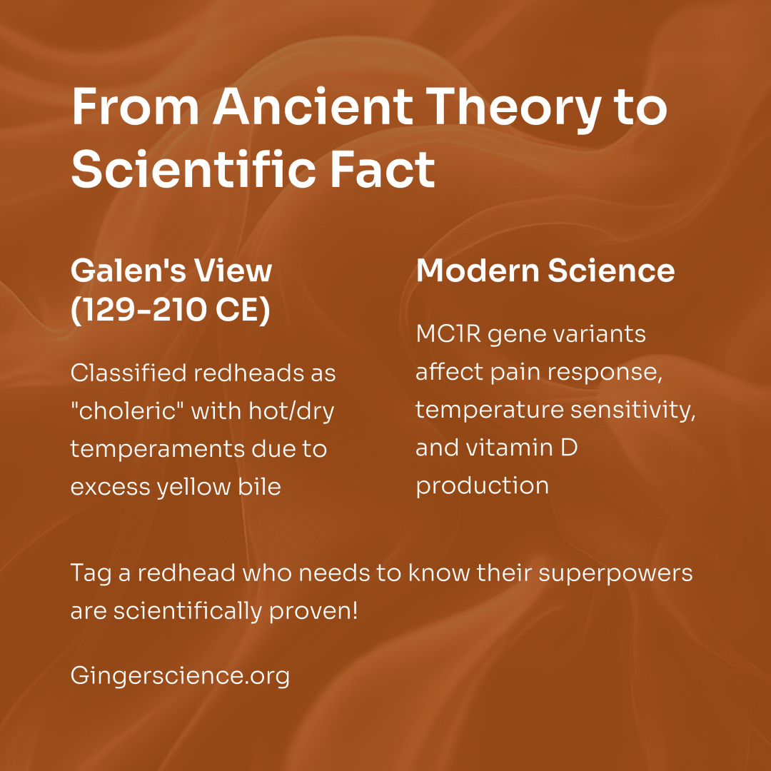 Ancient physician Galen believed red hair meant you ran hot—literally. In ancient humoral medicine, it was linked to a choleric temperament: fiery, dry, prone to intensity. Not a bad guess, really!!

Modern science now shows MC1R variants affect pain response, temperature