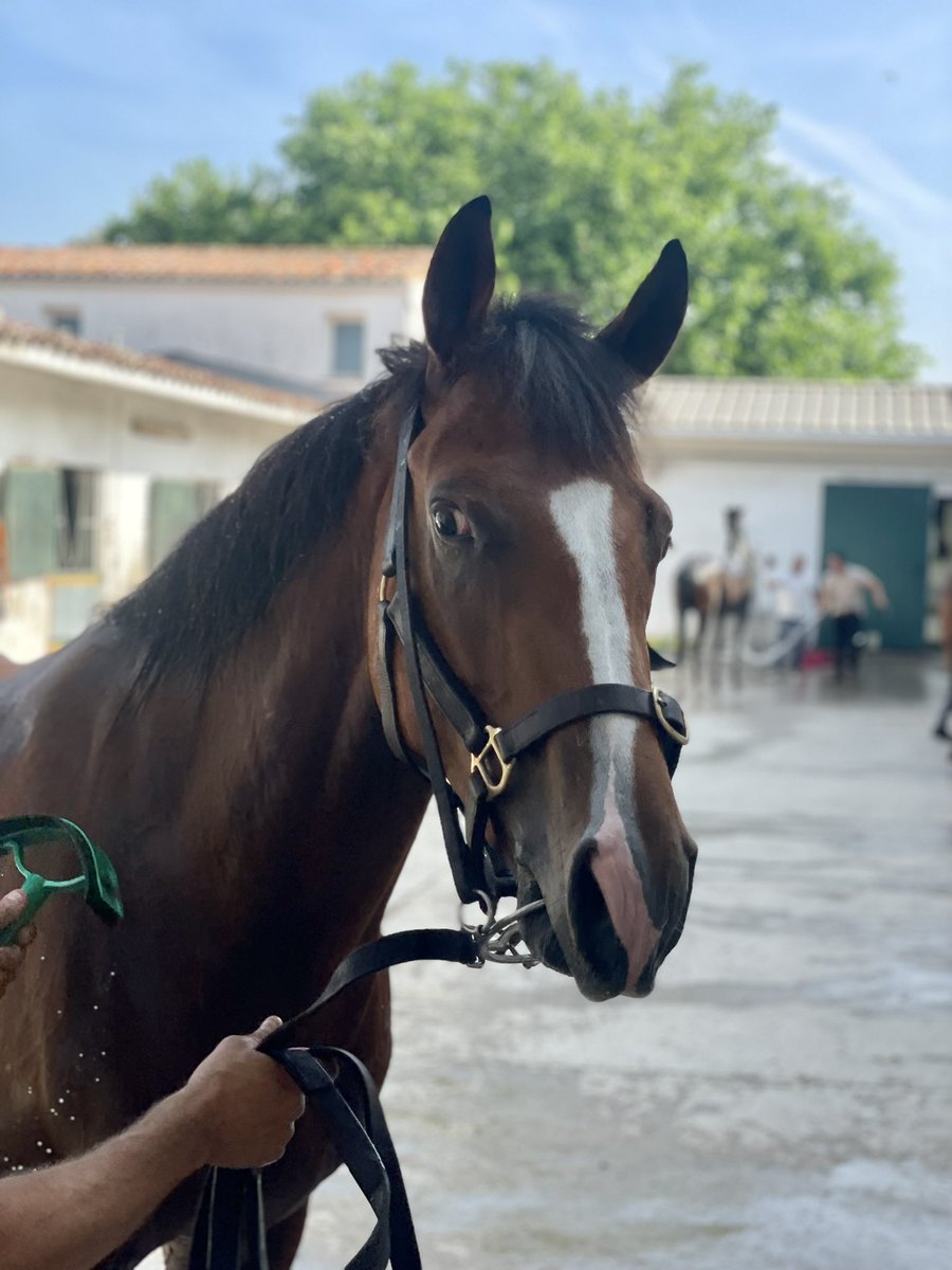 YLA Racing tweet media