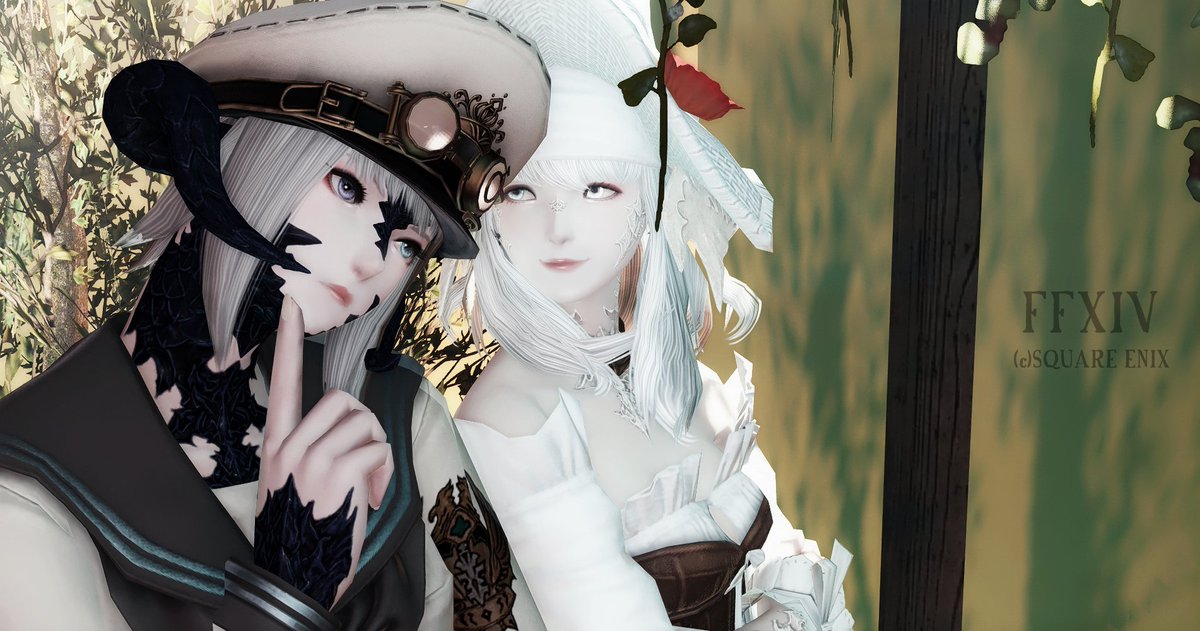 #イドとスクラップ
天使の羽のように白いｶﾛｻﾝと🦢🪽