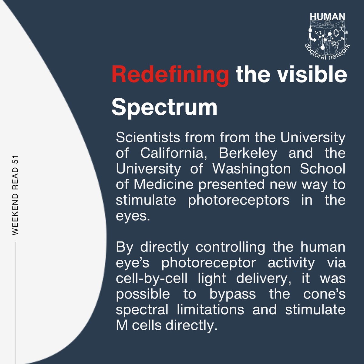 HUMAN Doctoral Network tweet media