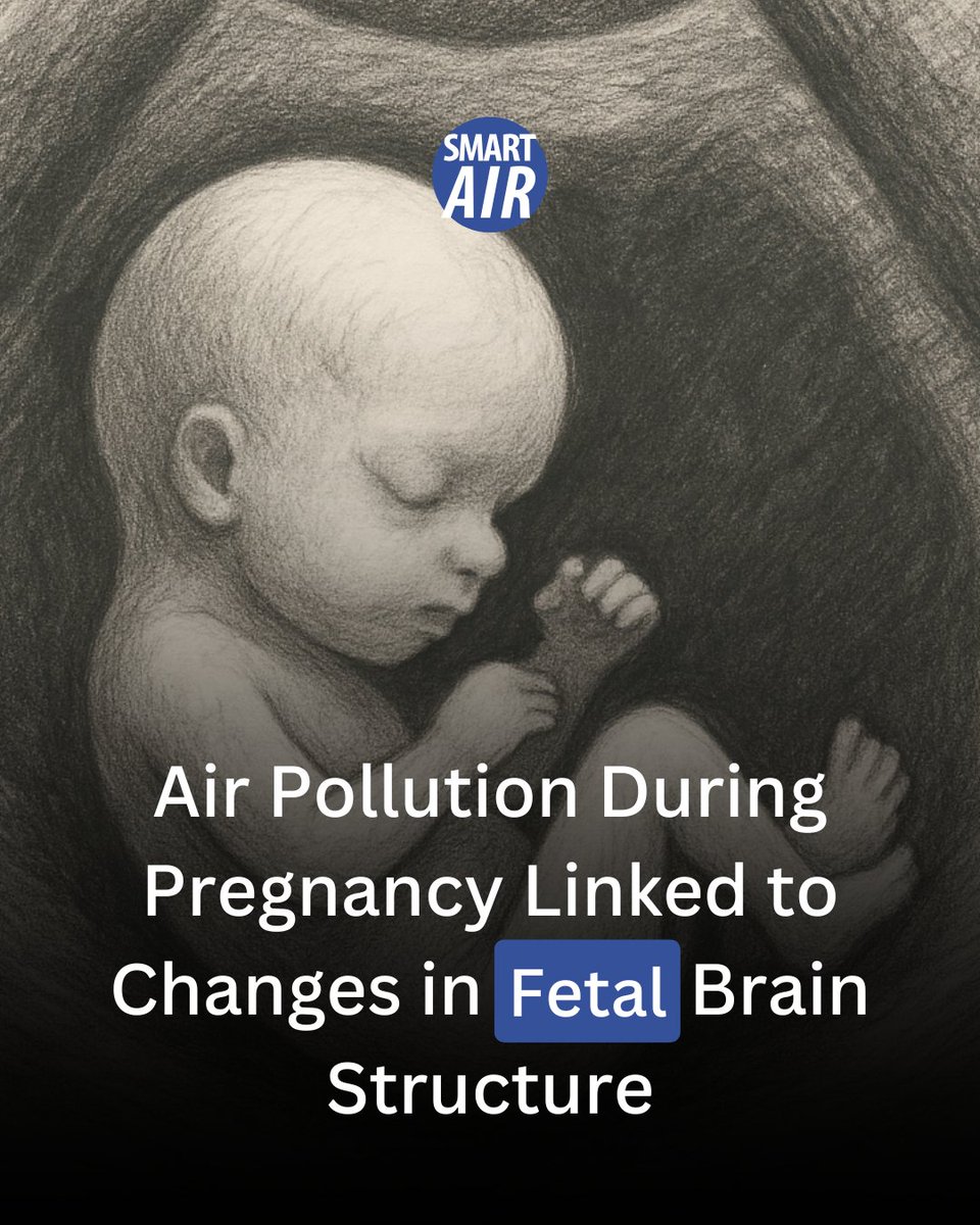 Even before birth, the brain may be impacted by dirty air. A study of 754 pregnancies found changes in fetal brain structures linked to NO₂, #PM2.5, and black carbon exposure during pregnancy.

Study: bit.ly/3HSLGI6

#Pollution #AirPollution #CleanAir