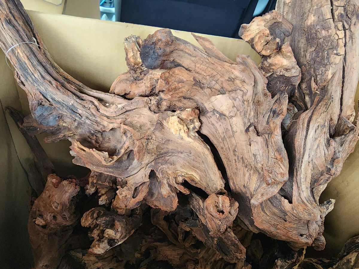 【ハマ流木】 流木