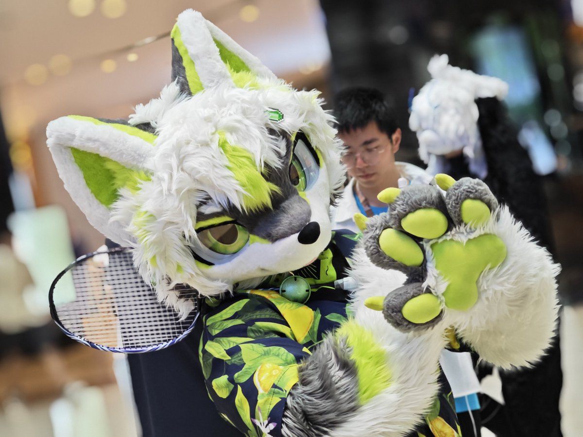 接招！
小狼暴扣！！！
wwww
📷:白糖最白
#fursuitFriday