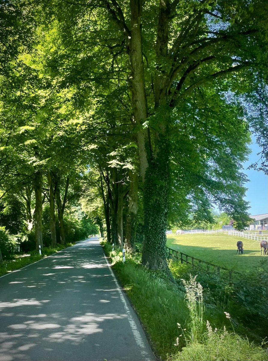 As a cyclist, my almost perfect definition of “happy place”. Welcoming summer back to northern Germany.