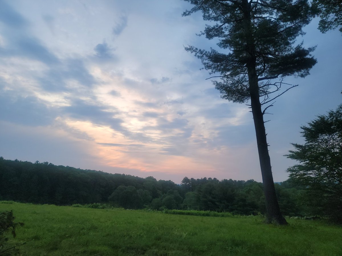 The sun rose this morning just before 5:07 in Boston. This is the earliest sunrise of the year which occurs on or near the 14th of June every year. Tomorrow it is 2 seconds later.