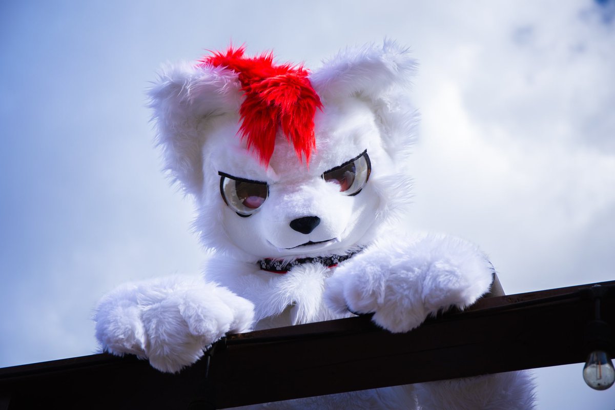 (っ `꒳´ c)むっ
#FursuitFriday