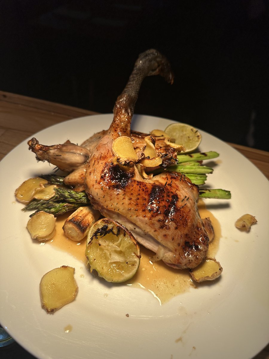 Finlay <a href="/theshotgunchef/">The Shotgun Chef</a> is back in business I am sorry I have been away for so long. New articles and recipes coming very soon.