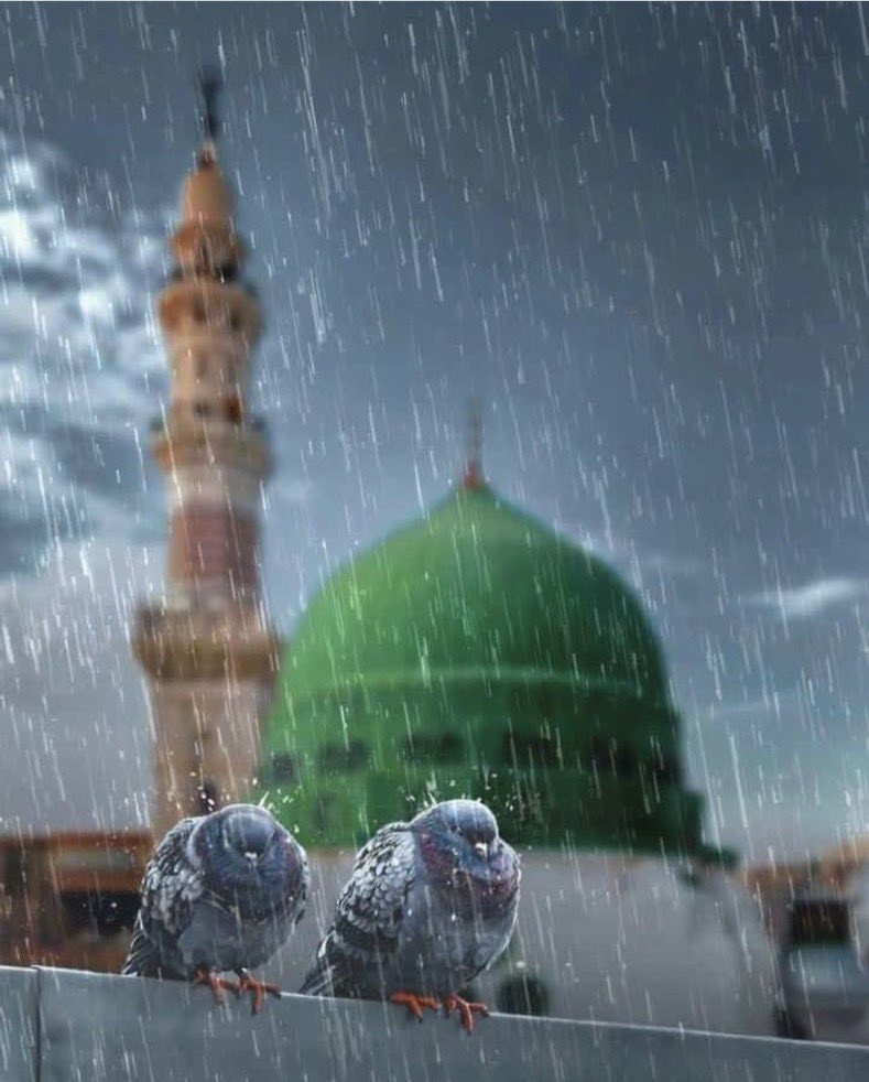 r10rh1's tweet photo. #الجمعه
#الصلاه_علي_النبي 

"صلى عليكَ اللهُ في ملكوتِه
ما قامَ عبدٌ في الصَّلاةِ وكبّرا"ﷺ 🌸 https://t.co/CIKAlMtjKD