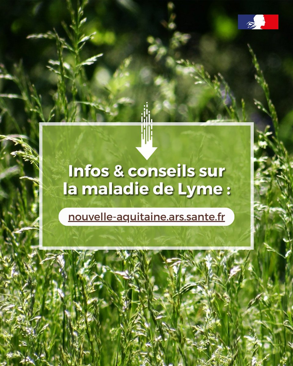 #Tiques 🪲 | Morsure de tique : les erreurs à   éviter ❌
Lorsqu'on découvre une tique accrochée à la peau, certaines réactions instinctives peuvent aggraver les choses.
Voici les gestes à ne pas faire 👇

➡ En savoir plus : nouvelle-aquitaine.ars.sante.fr/tique-et-malad…