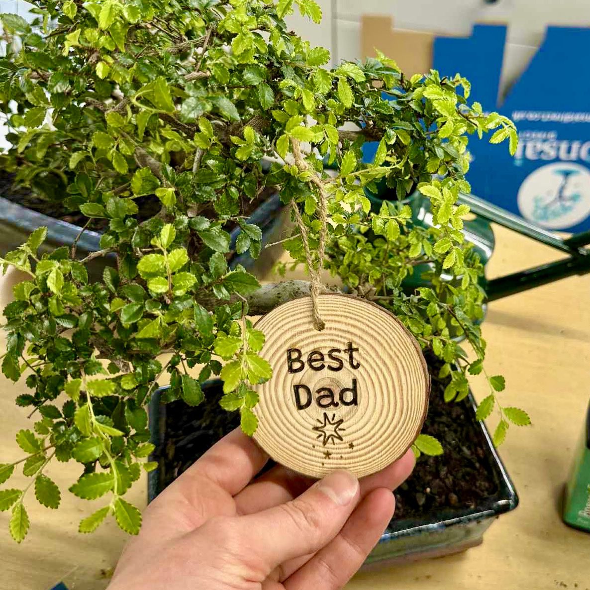 We are still shipping out deliveries for Father’s Day! Make sure you order by midday on Saturday for Father’s Day delivery 🚚💝 #bonsai #bonsaidirect #bonsaitree #bonsaitrees #nature #fathersday #gifts #dad