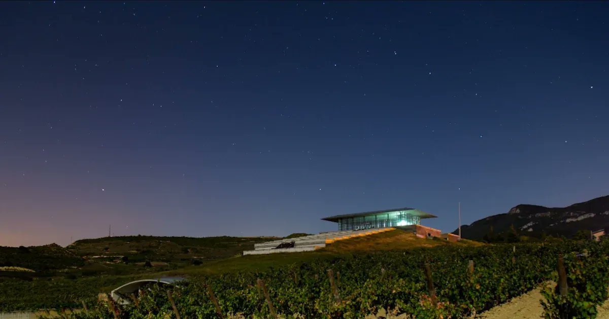 Best Of Wine Tourism Bilbao-Rioja (@bilbaorioja) on Twitter photo Vive un atardecer inolvidable en #RiojaAlavesa con Sunset & Dine 🍷 <a href="/RiojaAlavesa/">Rioja Alavesa</a>
#savethedate 21 Jun.
ℹ️ bit.ly/4e7l9TO
Cena maridada con vinos locales, DJ y espectáculo de danza en el impresionante cubo de cristal de <a href="/BodegasBaigorri/">Bodegas Baigorri</a> Vive un atardecer inolvidable en #RiojaAlavesa con Sunset & Dine 🍷 <a href="/RiojaAlavesa/">Rioja Alavesa</a>
#savethedate 21 Jun.
ℹ️ bit.ly/4e7l9TO
Cena maridada con vinos locales, DJ y espectáculo de danza en el impresionante cubo de cristal de <a href="/BodegasBaigorri/">Bodegas Baigorri</a>