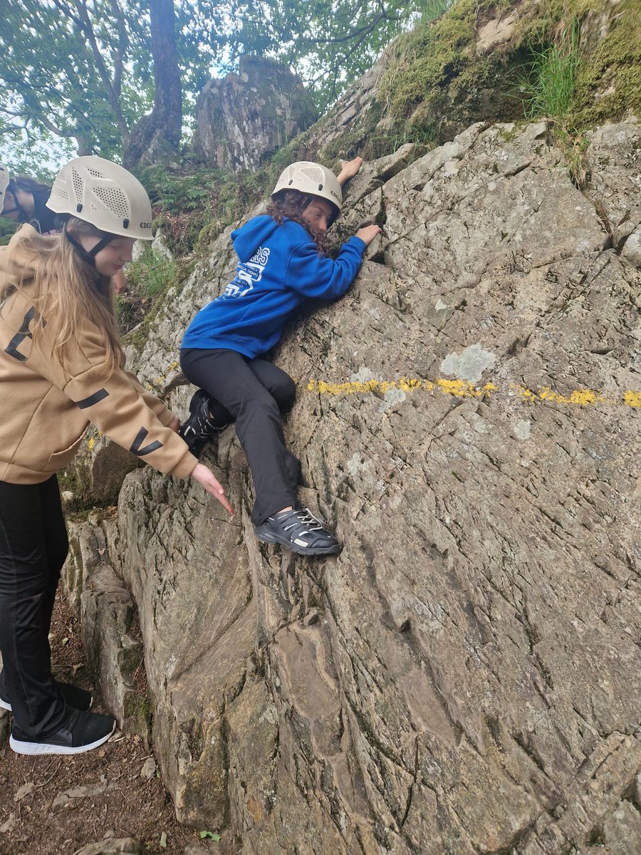 mattarnprimary tweet media