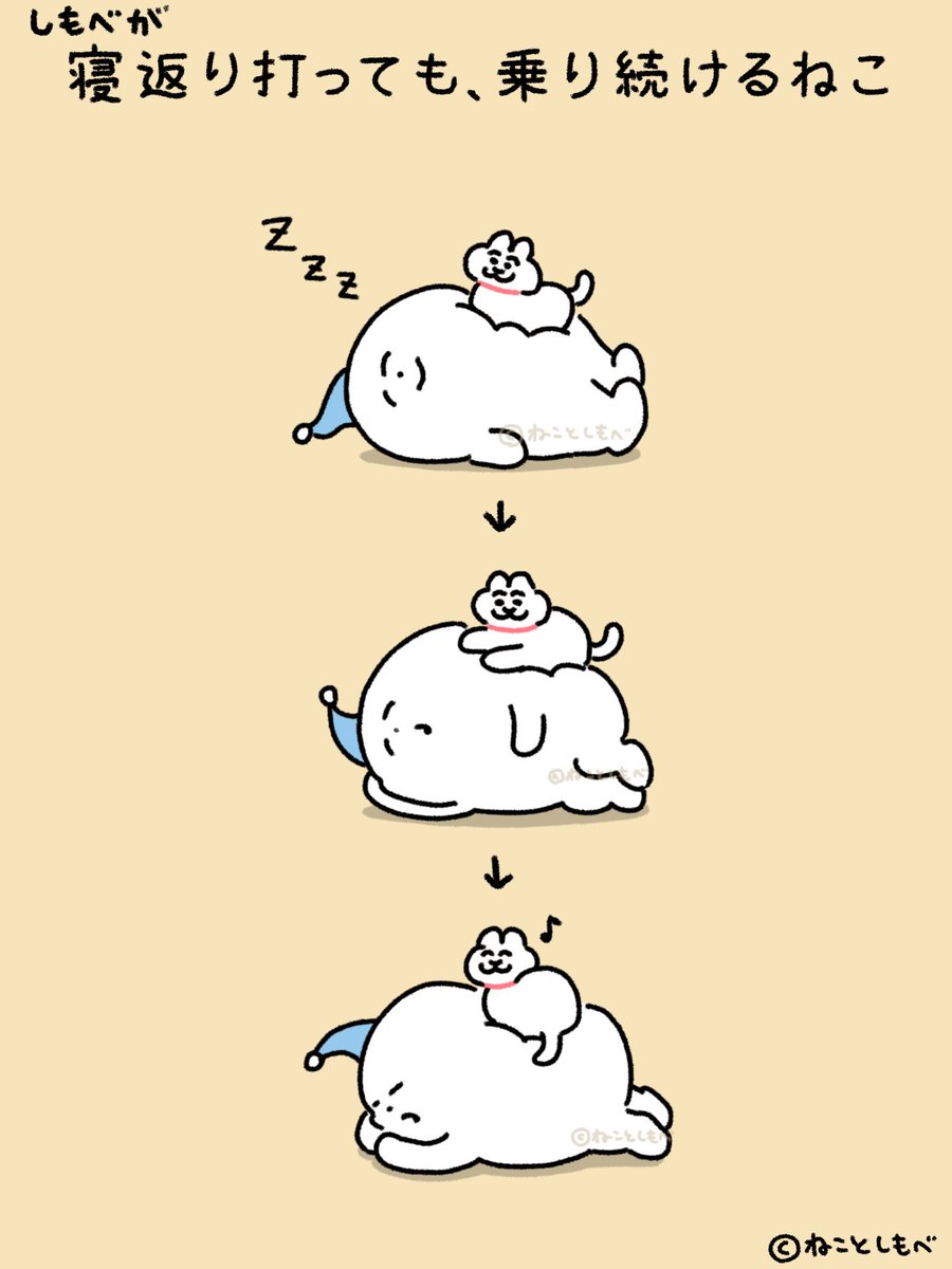 寝返り打っても乗り続けるねこ