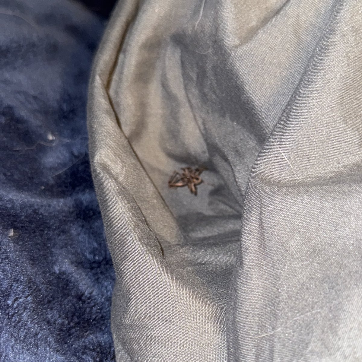 Frizzable's tweet photo. I FOUND HIM!!! Holy FUCK THATS A BIG BITCH!!! https://t.co/nO2SgVhcbE