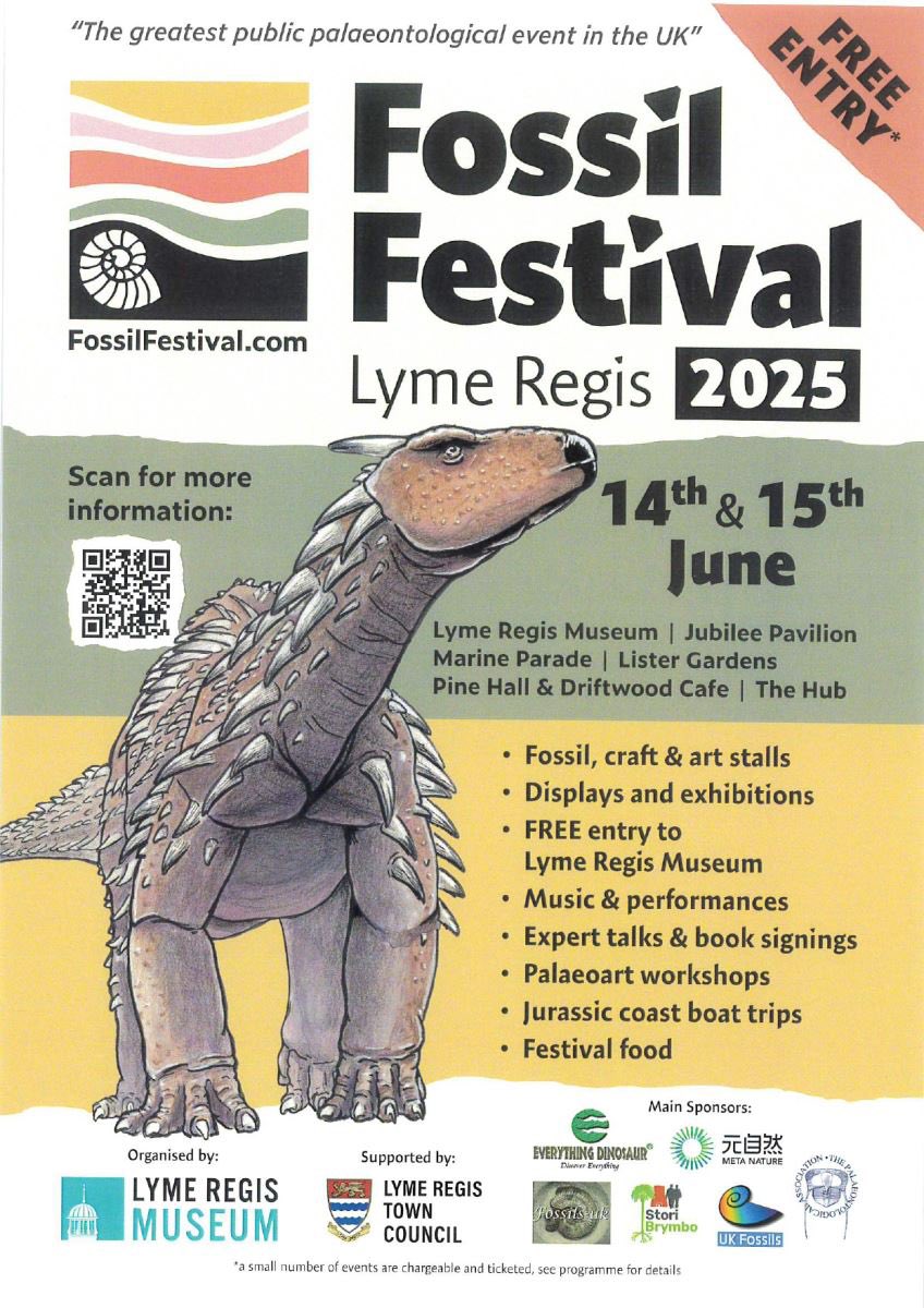 FossilCoastCo's tweet image. Big weekend ahead! #FossilFestival in Lyme Regis. Are you going?