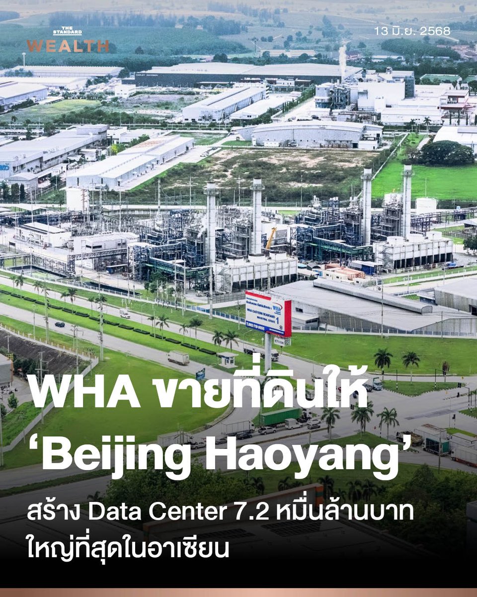 THE STANDARD WEALTH tweet media