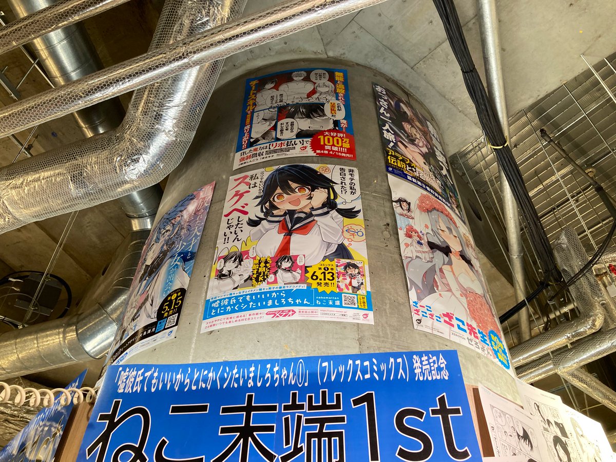 FlexComix's tweet photo. ／
6/13(金)発売 メテオCOMICS
『#嘘彼氏でもいいからとにかくシたいましろちゃん 』①
＼

先生オススメ本をご紹介する
📘📕ねこ末端1st📕📘が
ブックファースト新宿店さまにて、
7/12(木)まで開催中💖
紹介コメントが入ったペーパーは、無料配布です☺️

店内モニター&Cゾーン入口サイネージにて、ボイスコミックも再生中！🎉🌟
ぜひお立ち寄りください〜💓🫶💓